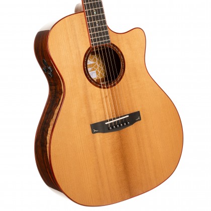 콜트 Gold-A10 Cocobolo 탄화 아디론닥 스프루스 AA 전판 음향목 상세