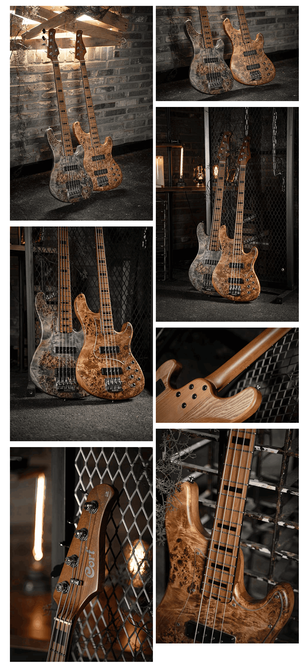 Cort Guitars Brand Logo