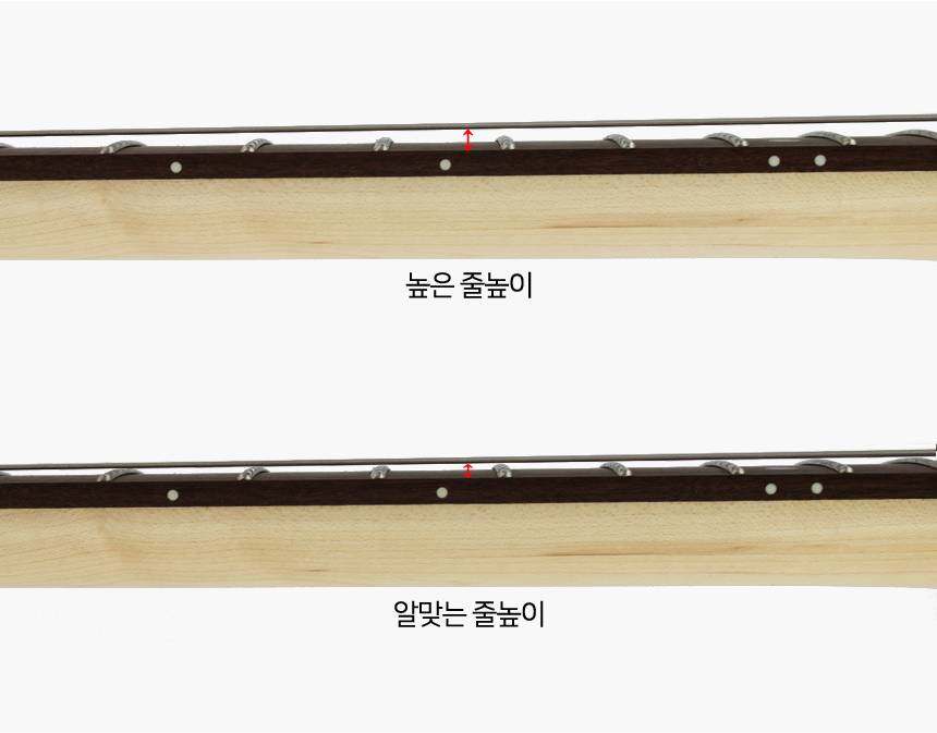 전문가 정밀 줄 높이 스트링 액션 셋업 출고