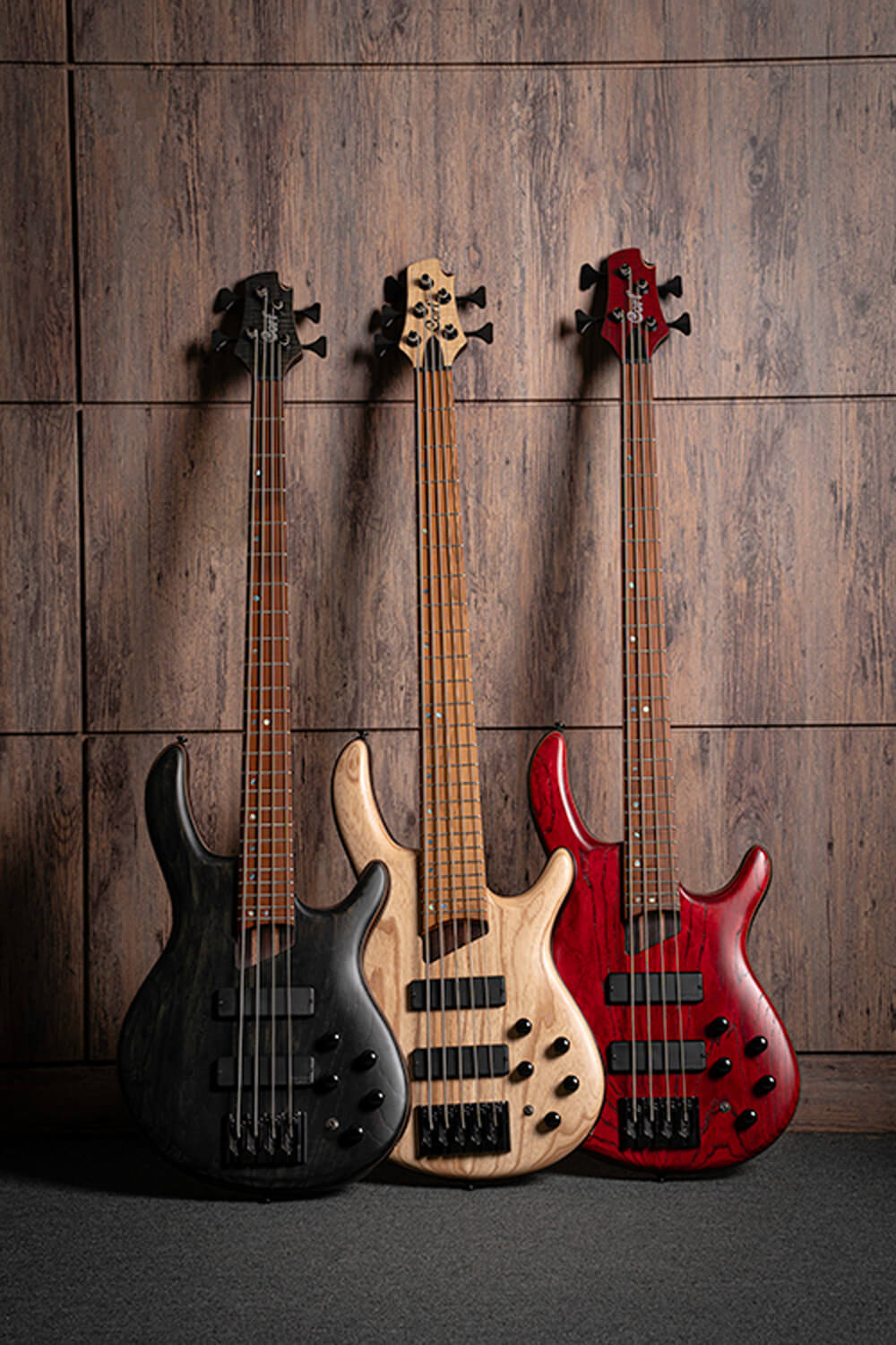 Cort B5 Element 5현 바디 전면 각도 디테일 컷 3
