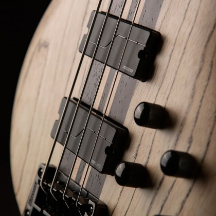 Fishman Fluence Bass Soapbar