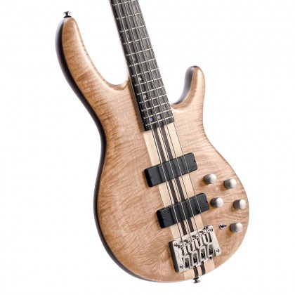 Mahogany Body with Figured Maple Top