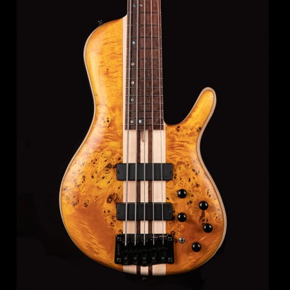 Single Cutaway Bass